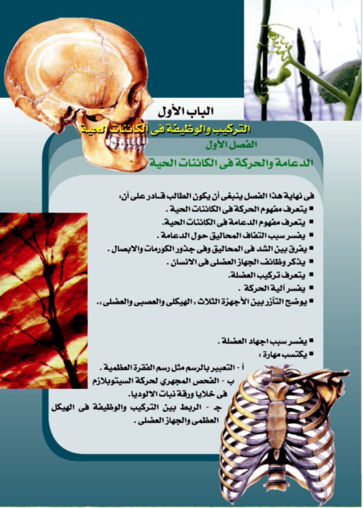 صفحة 1 من 98