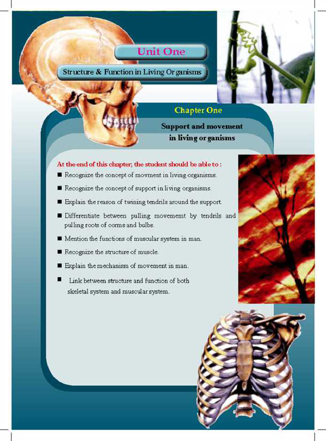 صفحة 1 من 106