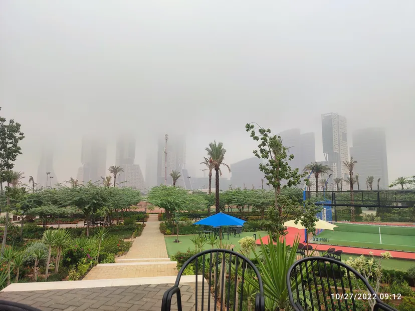 المساحات الخارجية لحرم الجامعة الألمانية الدولية.