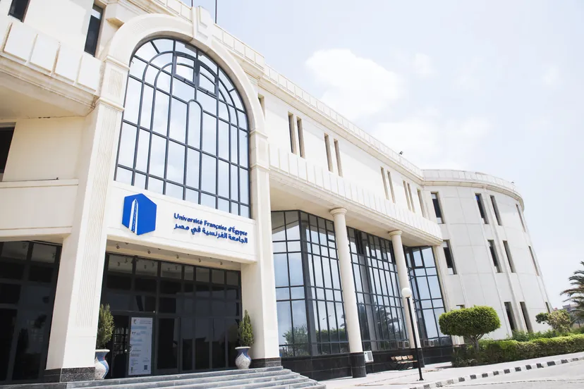 سلالم الوصول إلى حرم الجامعة الفرنسية في مصر.